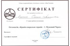 Алешко Елена Витальевна
